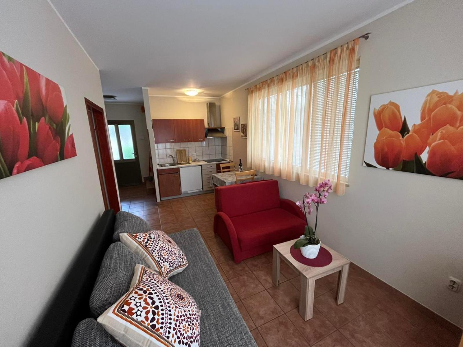 Apartament Family Suzi *